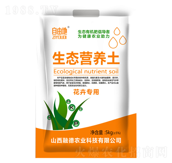 ���܌�(zhu��n)�����B(t��i)�I(y��ng)�B(y��ng)��-���ɵ�-�ڵ��r(n��ng)�I(y��)