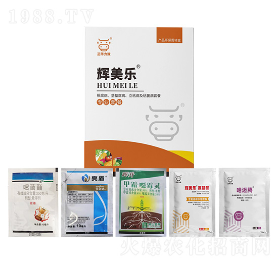 ���������o�����������ݲ�����ή���ײ�-�x����(l��)-���A����