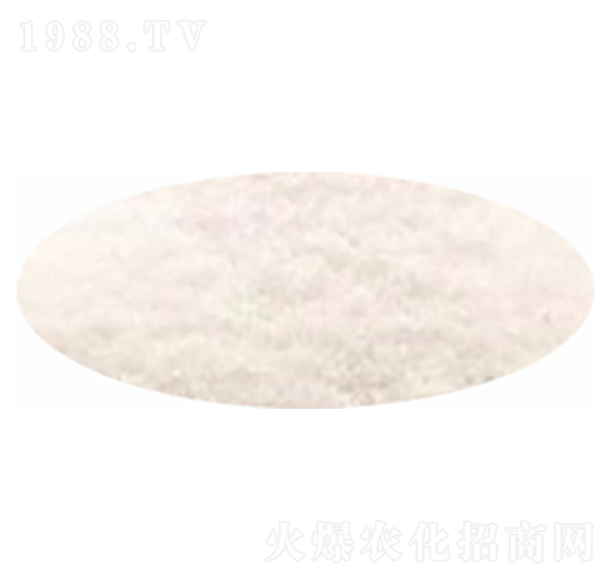 ����һ�@-�����_