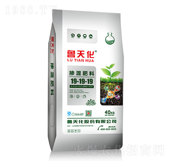 �������19-19-19-���컯