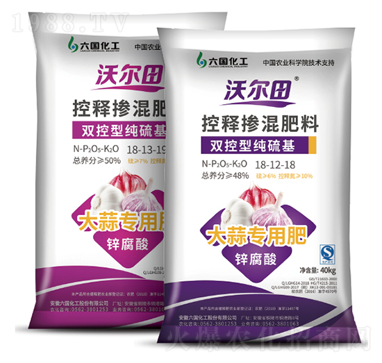 �p���͓������-�֠���-��������