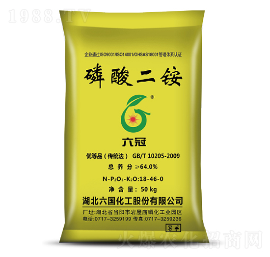 ������@-����-��������