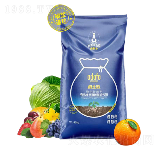 ������΢�������-�Ķ��S