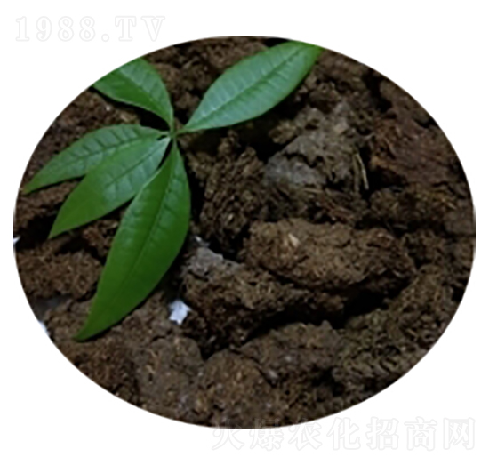 ����ţ�S-�T������