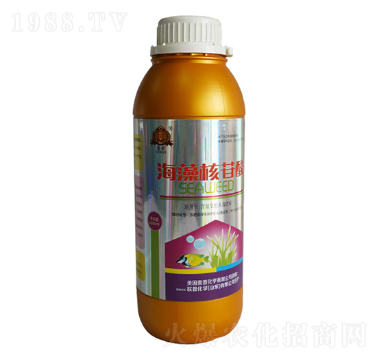 ���������-(li��n)�ջ��W(xu��)