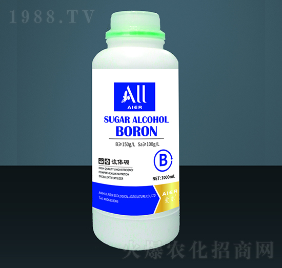 ���w��-��(��i)�����B(t��i)