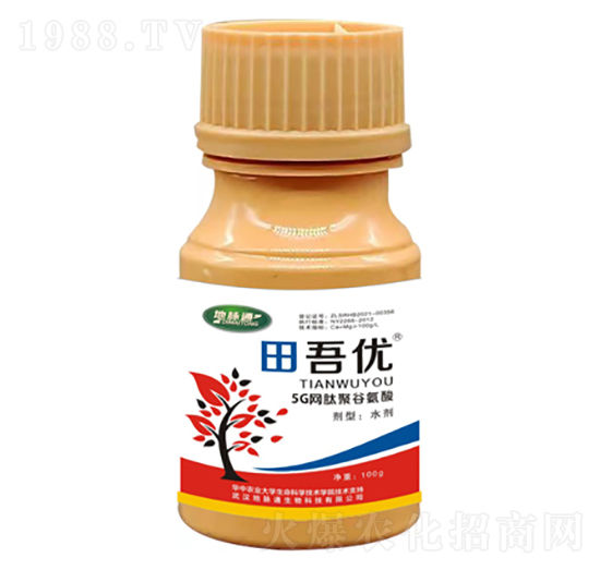 ���პ(y��u)5G�W(w��ng)�ľ۹Ȱ���-���}ͨ