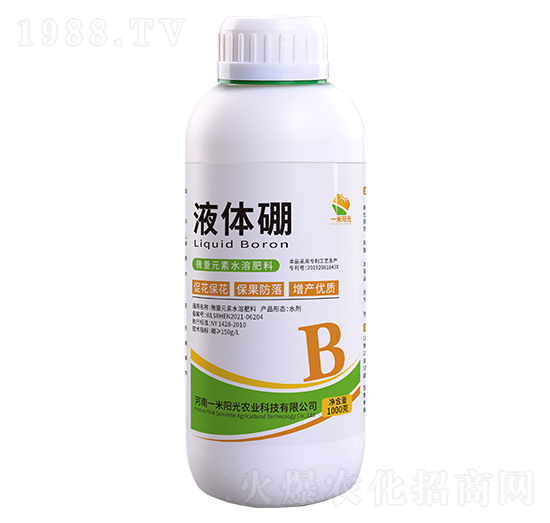 Һ�w��-һ��ꖹ�