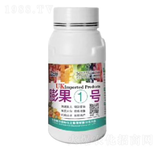 ���1̖-Ӣ������-�տ���