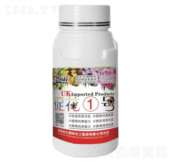 �ٻ�1̖(h��o)-Ӣ��(gu��)����-�տ���