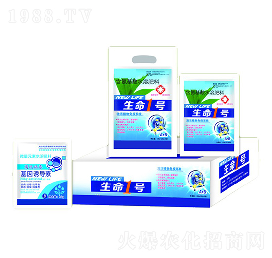 ����1̖+�����T����-�ֵϾ�