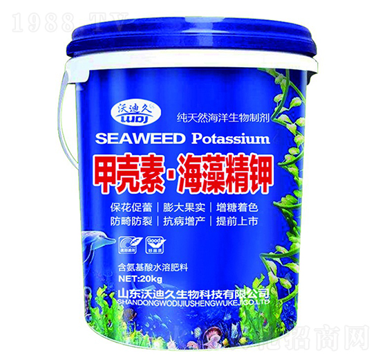 �ך��ء����徫�-�ֵϾ�