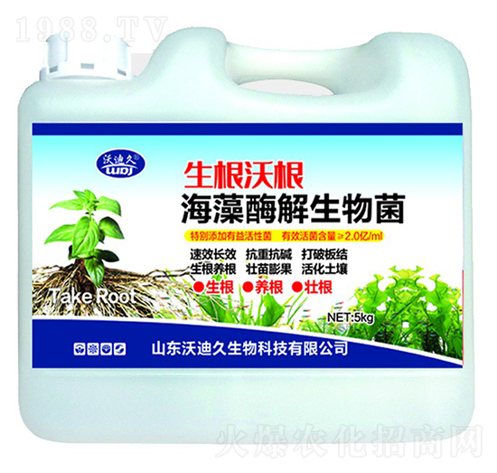 �����ָ�������ø�������-�ֵϾ�