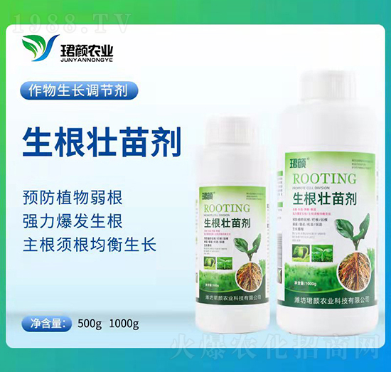 �������焩-�B��r(n��ng)�I(y��)