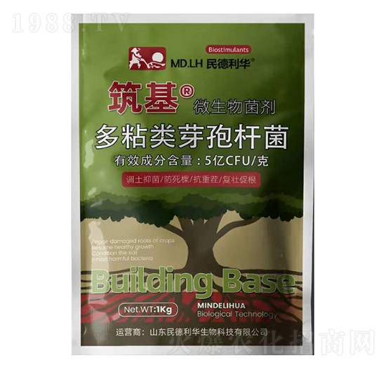 ΢�������-����-������A