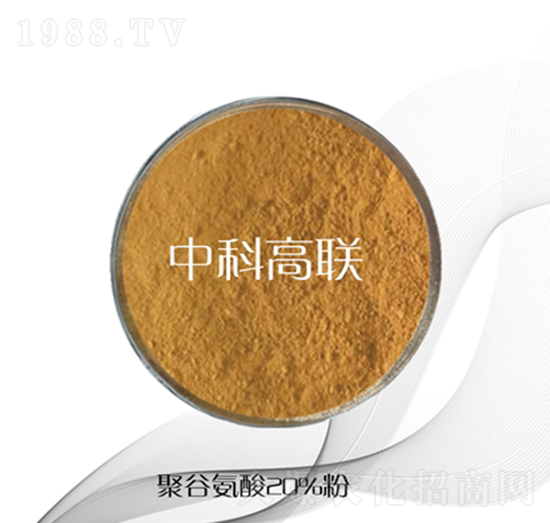 �۹Ȱ����-�пƸ�(li��n)