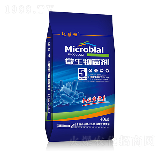 ΢�������-�]��������