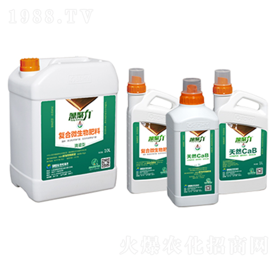 �ι��͏�(f��)��΢�������-�����-��������