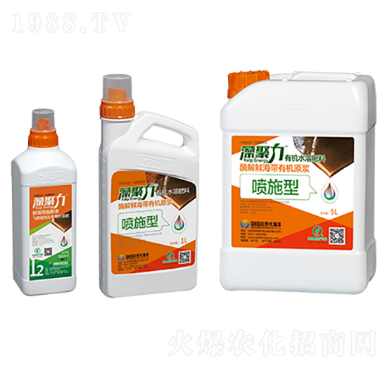 �~���͏ͺ�΢�������-�����-��������