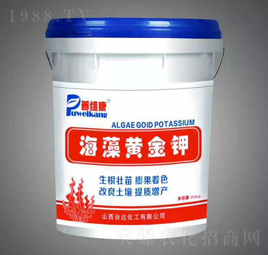 �����S���-�վS��-�_(t��i)�_(d��)�ʘI(y��)