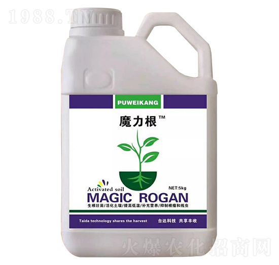 ħ����-ِ��-�_�_(d��)�ʘI(y��)