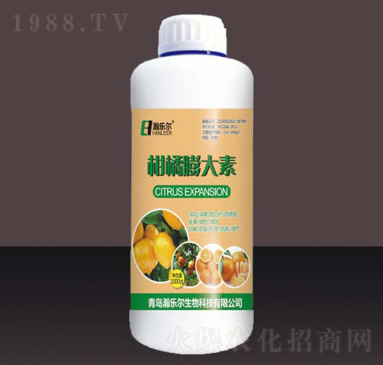 ���������-嫘���