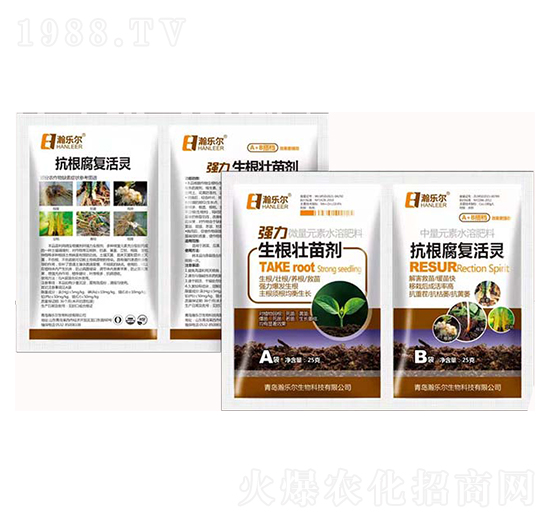 �����������焩+��������(f��)���`-嫘���