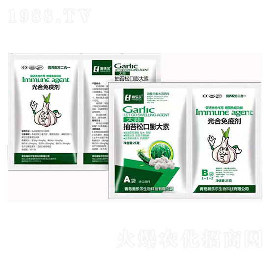 ��̦�ɿ������+������߄�-嫘���