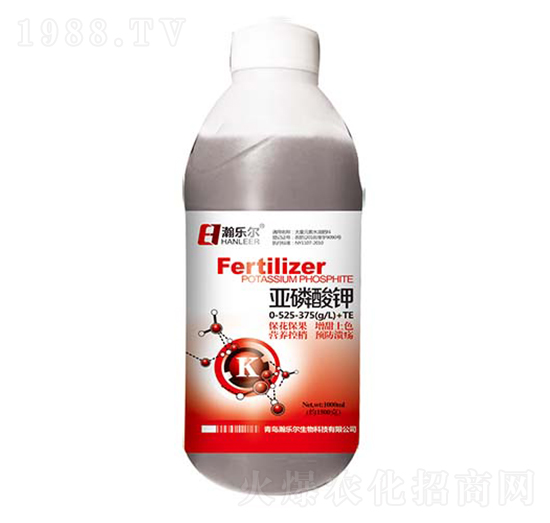 �������-嫘���