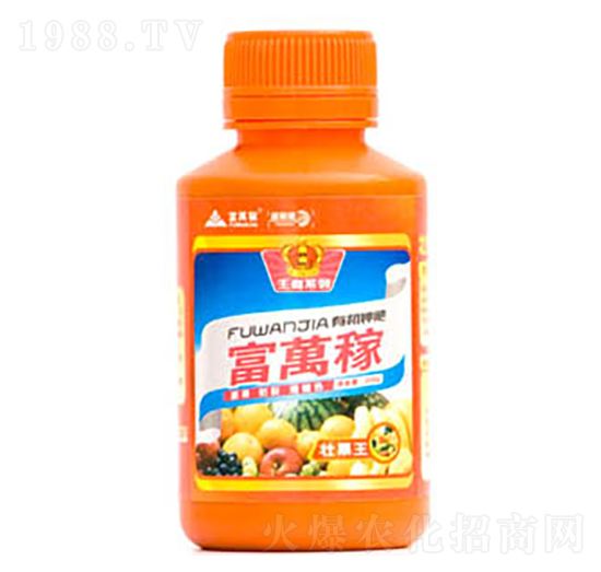 �ѹ���-���f(w��n)�