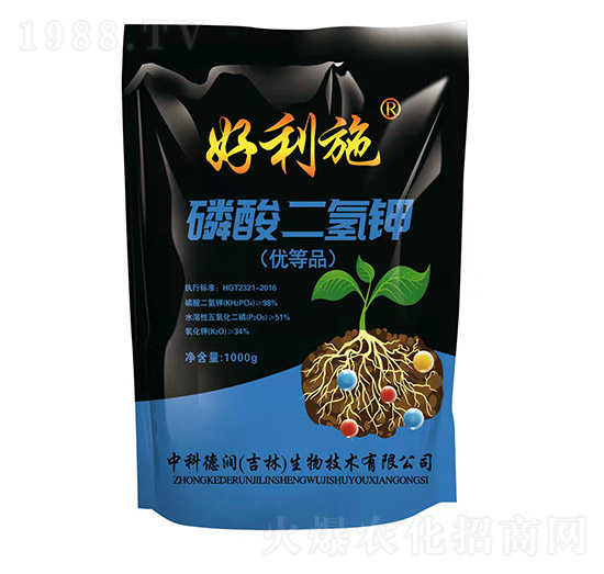 ��������-���ʘI(y��)