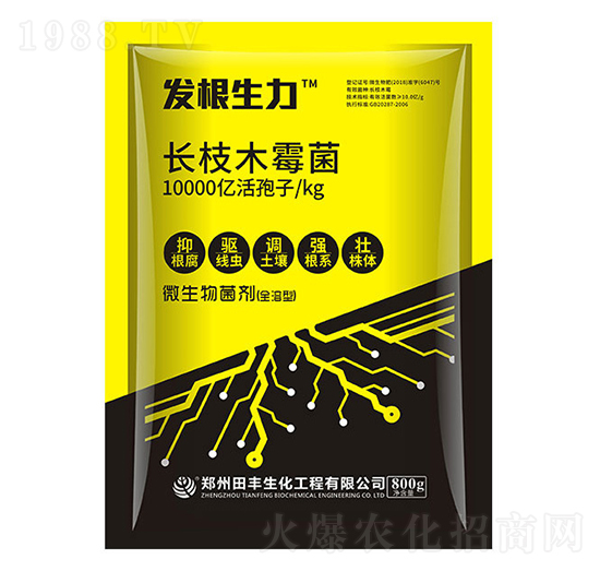 �L(zh��ng)֦ľù��-�l(f��)������-�۟o(w��)��