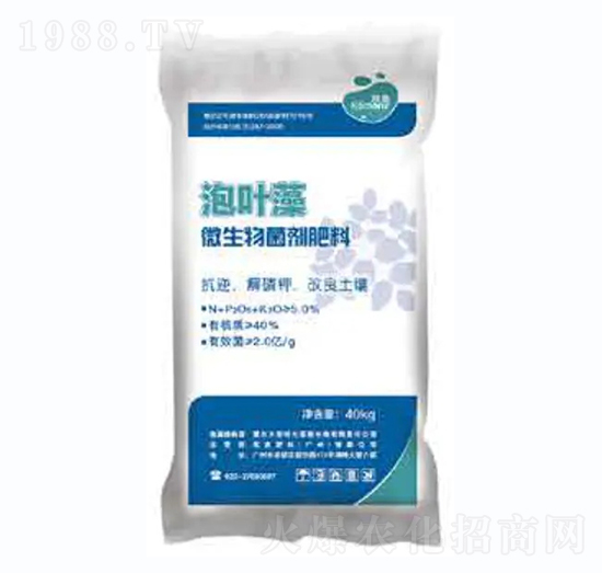 ΢�����������-���~��-��������