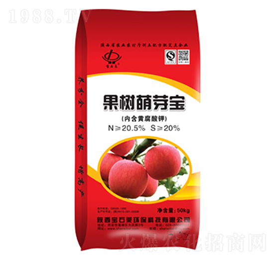 ������ѿ��-��ʯ�R