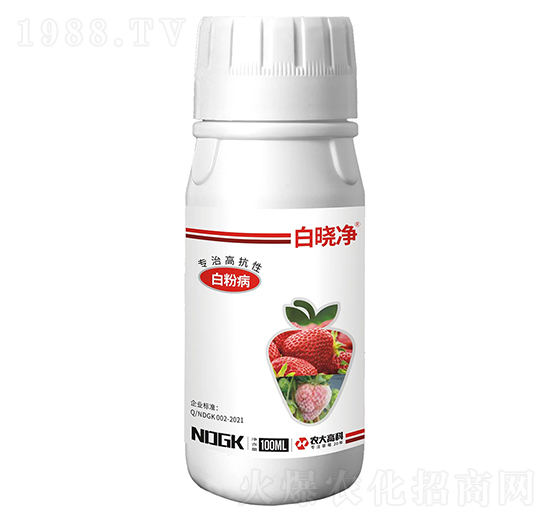 �וԃ�-������