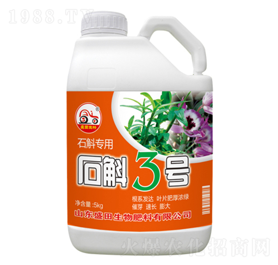 ʯ������-ʯ��3̖-ʢ������