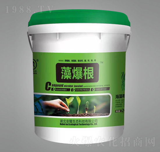 �屬��-��¡���B(t��i)