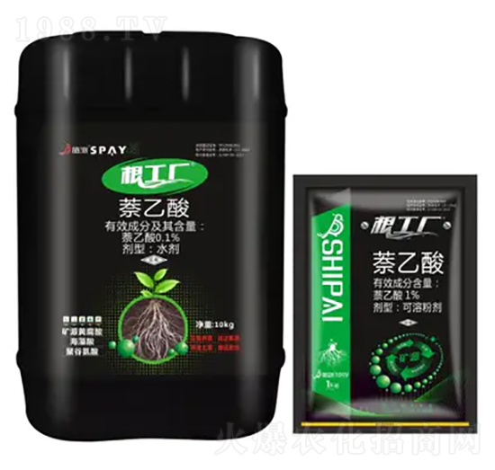 �����S-ʩ������