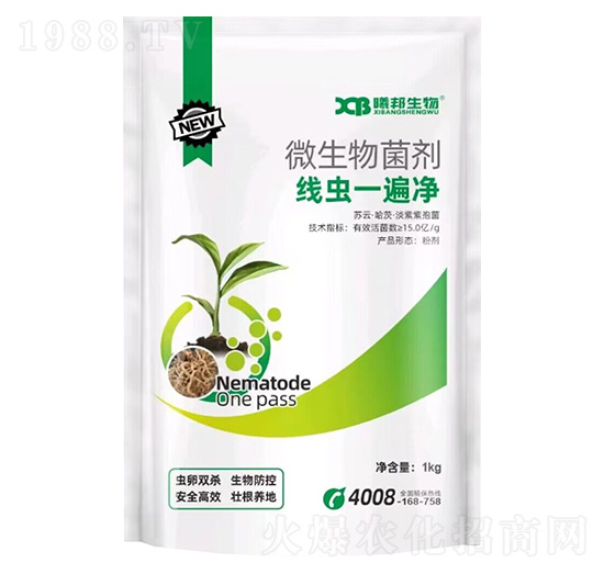 ΢�������-���x(ch��ng)һ���-�ذ�����