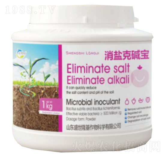 ���}�ˉA��-ʢ��¡��