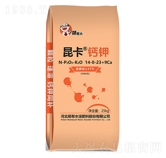 �����}�14-0-23+9Ca-�Ȏ�