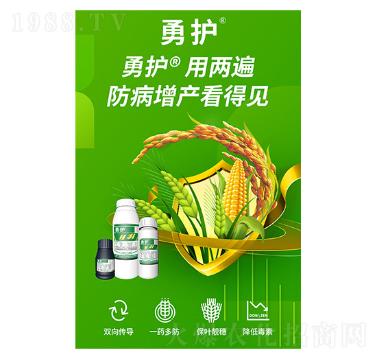 ���o-�����A��