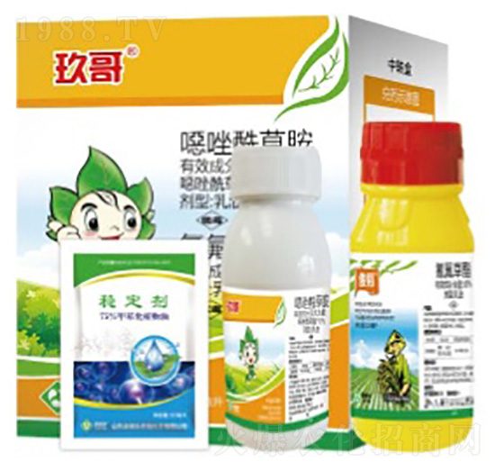 õ��-���՘�