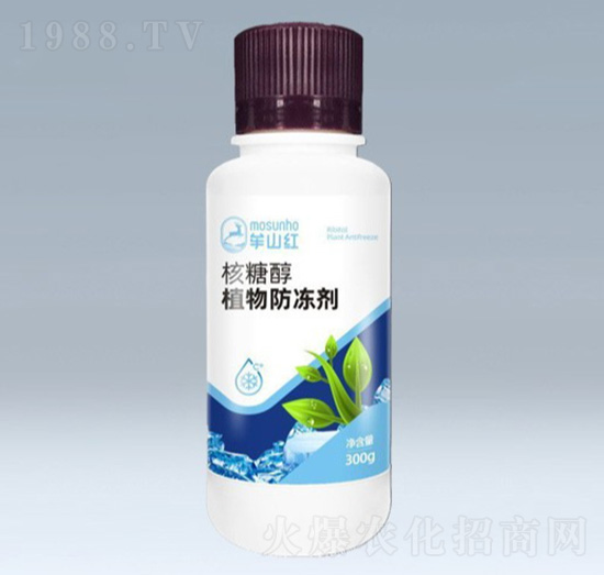 ���Ǵ�ֲ�������-��ݮȦ