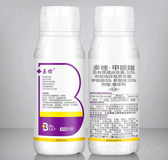 30%���򡤼����f�Ҹ���500g-����-�����r