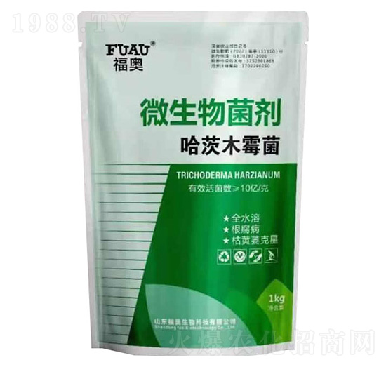 ΢�������-����ľù��-���W