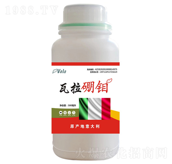 �������f-�۠���