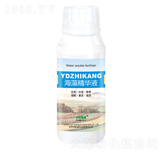 ���徫�AҺ-��|ֲ��-ʥ��ʘI(y��)