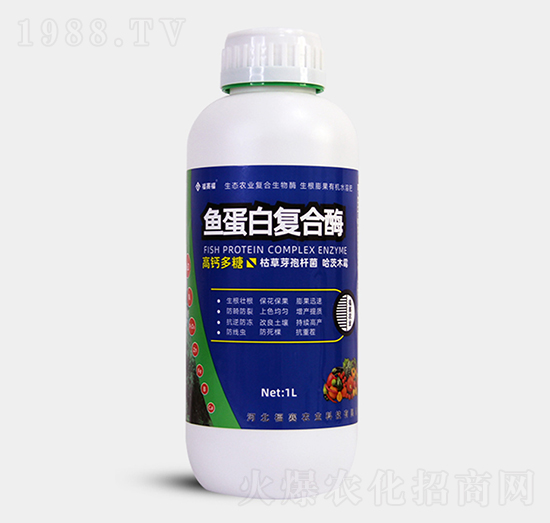 1kg�~���׏�(f��)��ø-��ِ��