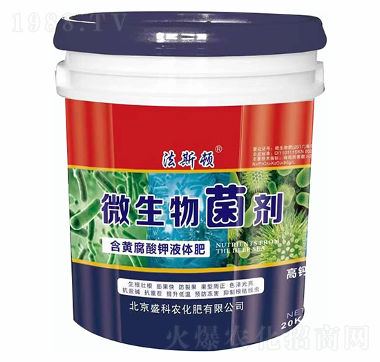 ΢�������-ʢ���r(n��ng)